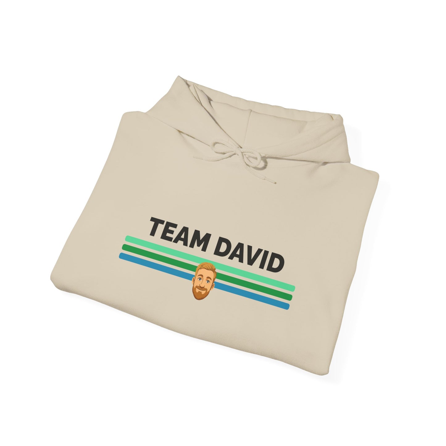 Team David Hoodie