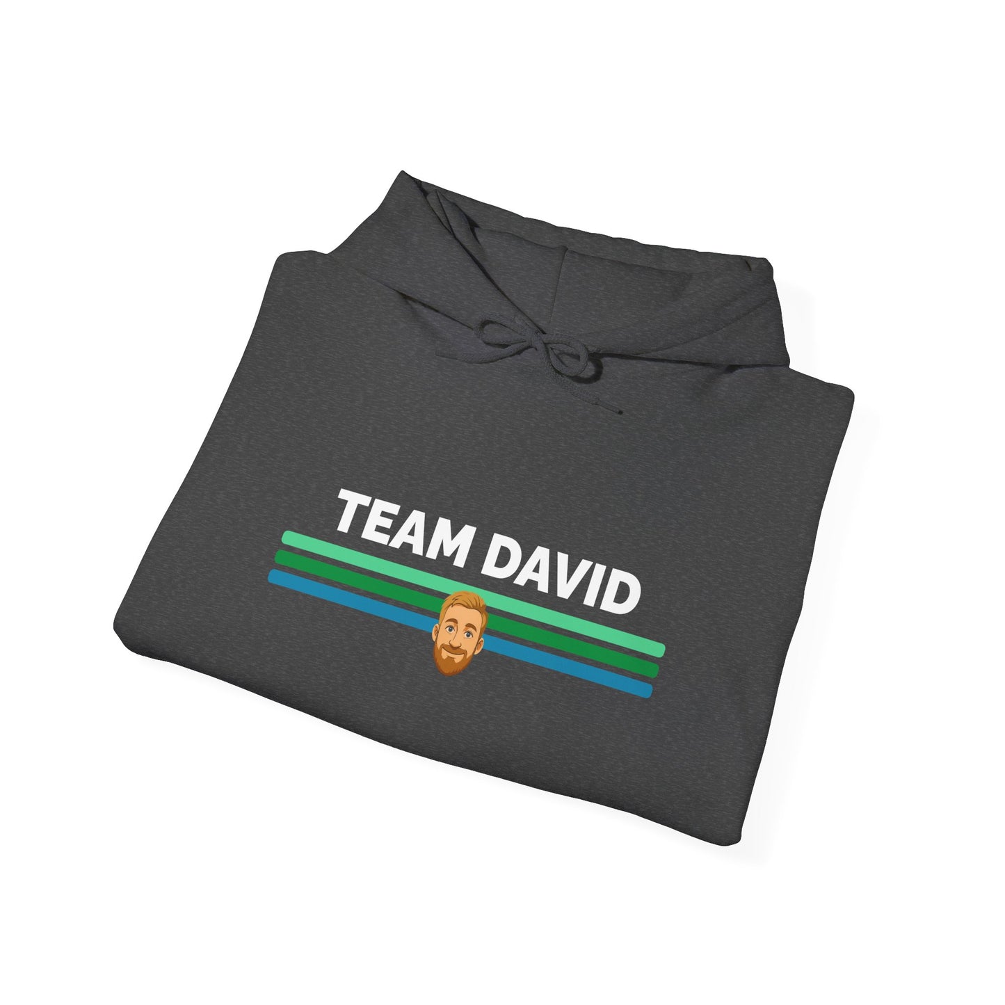 Team David Hoodie