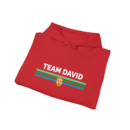 Team David Hoodie