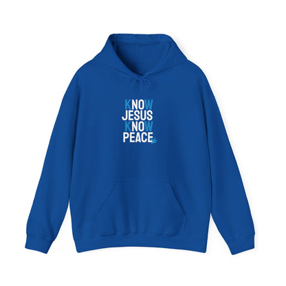 Know Jesus Know Peace Hoodie